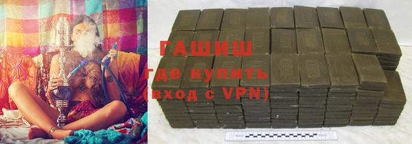 стаф Алзамай