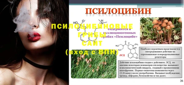 a pvp Алексин