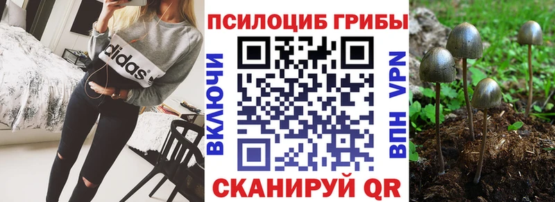 ОМГ ОМГ tor Балахна Псилоцибиновые грибы Psilocybine cubensis купить